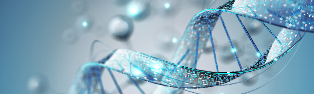 Aspect Biosystems: Bioprinted Adrenal Tissue Shows Promise